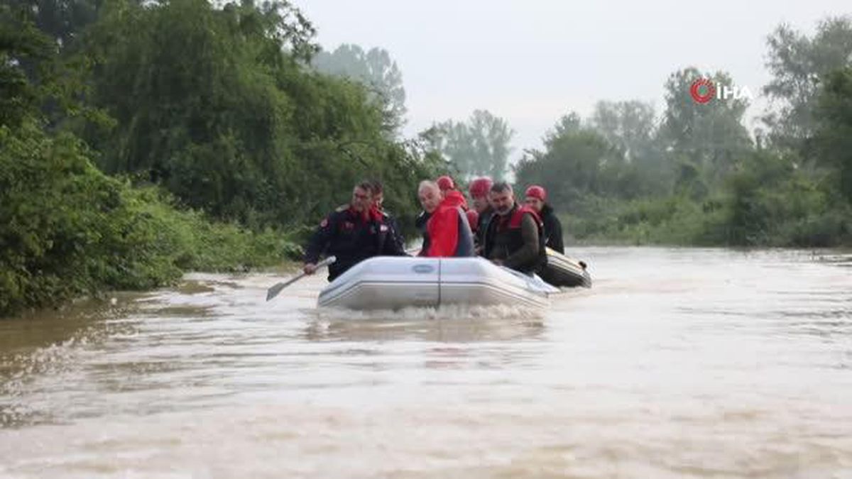 Selde mahsur kalan hayvanlar böyle kurtarıldı