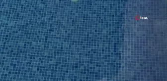 Site havuzları önlem alınmadığı takdirde tehlike saçıyor