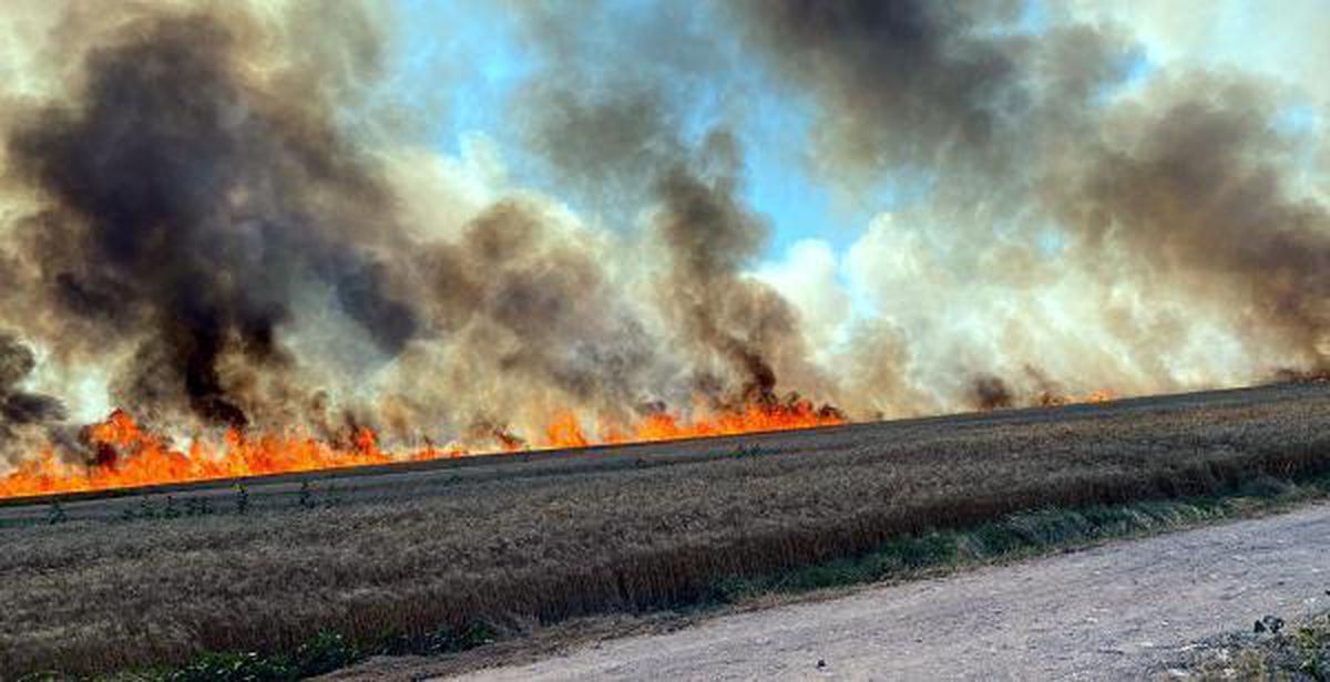 Tekirdağ\'da 400 dekar buğday tarlası yandı