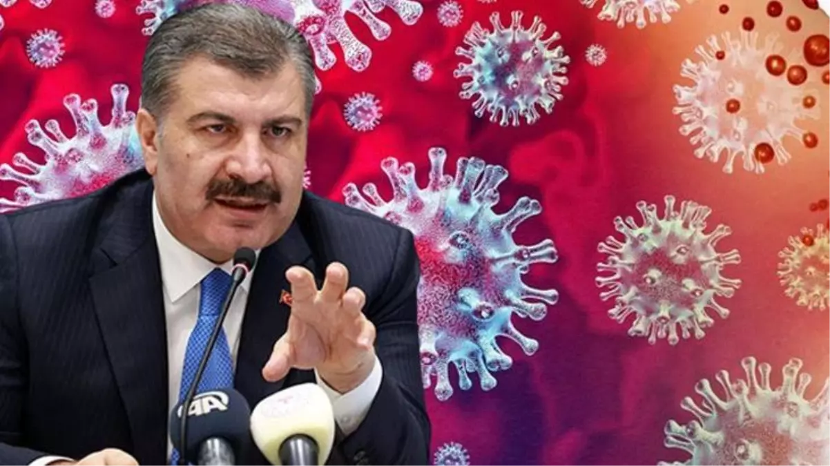 DSÖ\'den Türkiye\'de de ortaya çıkan maymun çiçeği virüsüyle ilgili uyarı: Virüsün hedefinde hamile kadınlar, bağışıklığı düşük kişiler ve çocuklar var