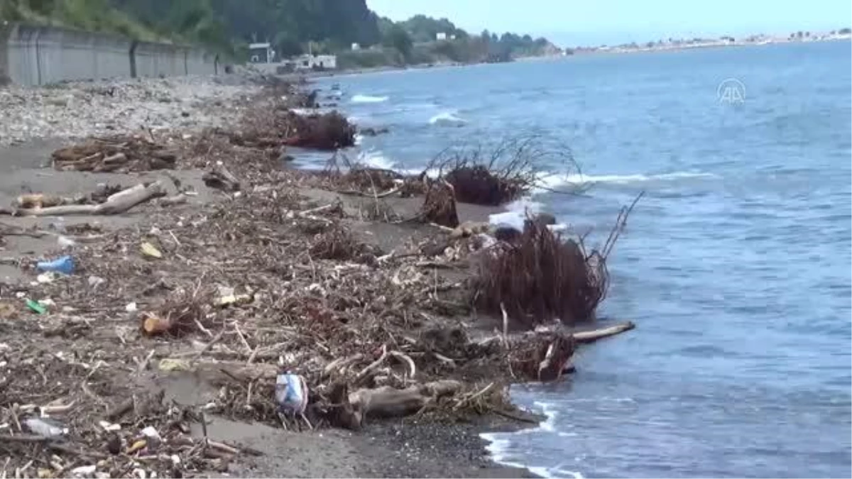 Son dakika haberleri: ZONGULDAK - Selin denize sürüklediği odunlar kıyıya vurdu