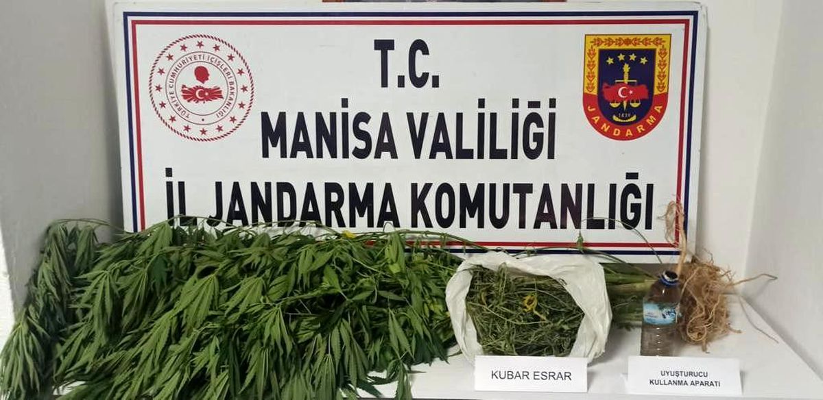 Bahçede kenevir, ikamette esrar ele geçirildi