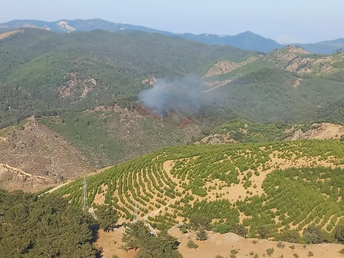 Son dakika gündem: Bergama ve Dikili\'de yangın