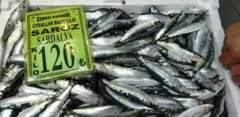 Çanakkale'de sardalyanın kilosu 120 lira oldu