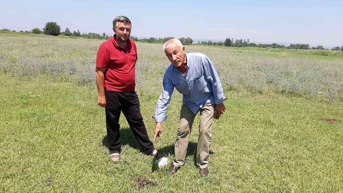 Ceyhan\'daki kuyu ile aynı yıl kapatılan Kadirli\'de petrol heyecanı