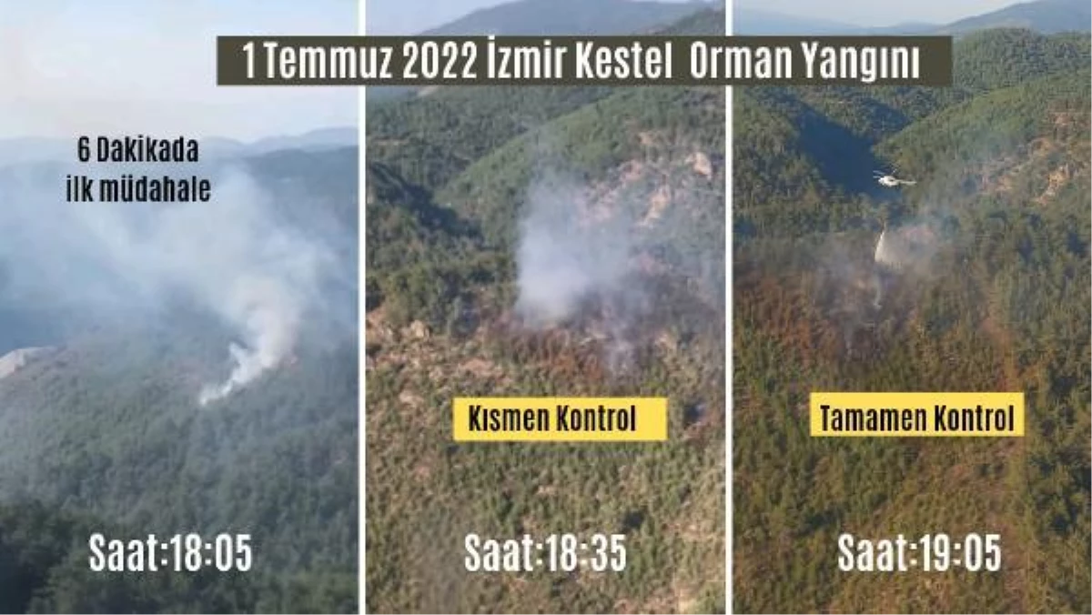 Son dakika haberleri... İzmir\'in iki ilçesinde orman ve otluk yangını (3)