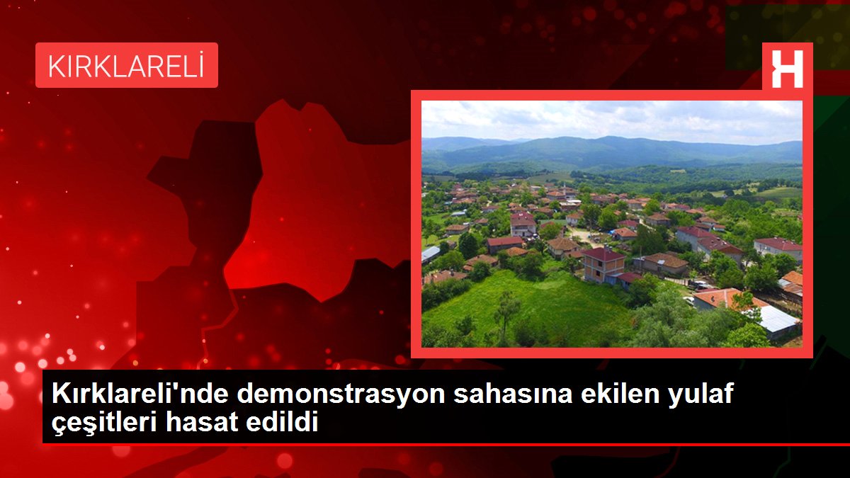 Kırklareli'nde demonstrasyon sahasına ekilen yulaf çeşitleri hasat edildi