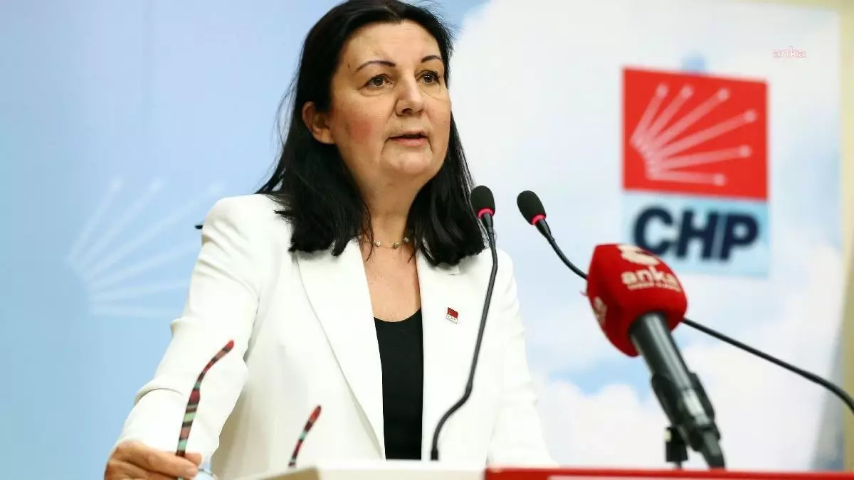 Lale Karabıyık: Lgs Sonuçları, Bizlere Eğitimdeki Eşitsizliği Bir Kez Daha Göstermiştir