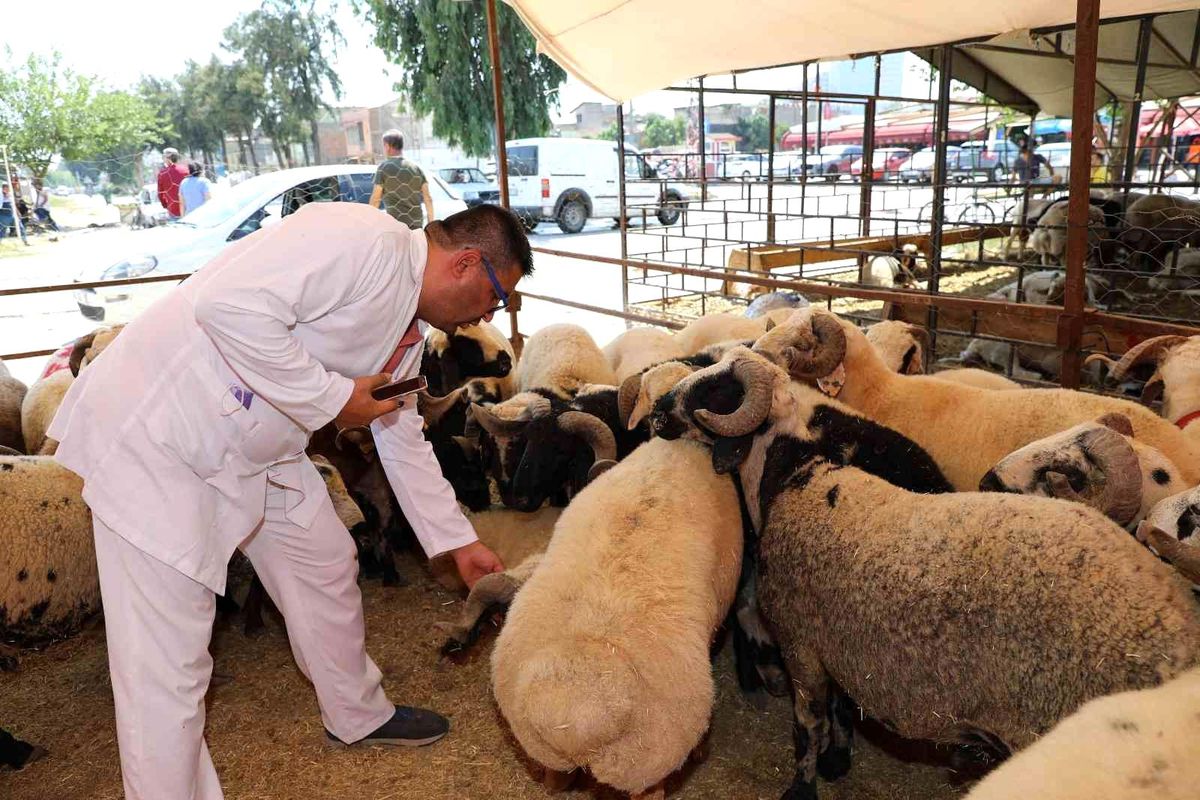 Yüreğir'de kurban satış ve kesim yerleri belirlendi