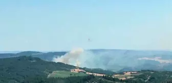 Çanakkale'de ormanlara giriş yasaklandı