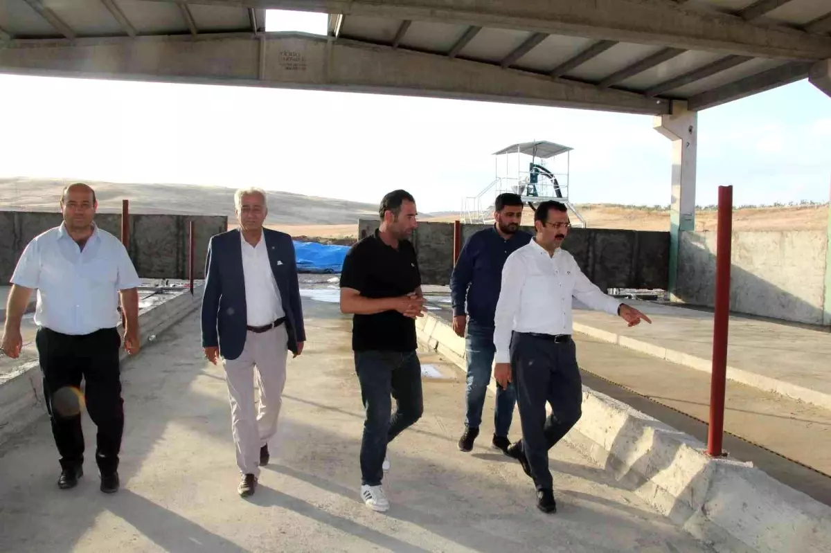 Devletten 4 milyon lira destek aldı, günde 5 ton süt üretmeyi hedefliyor