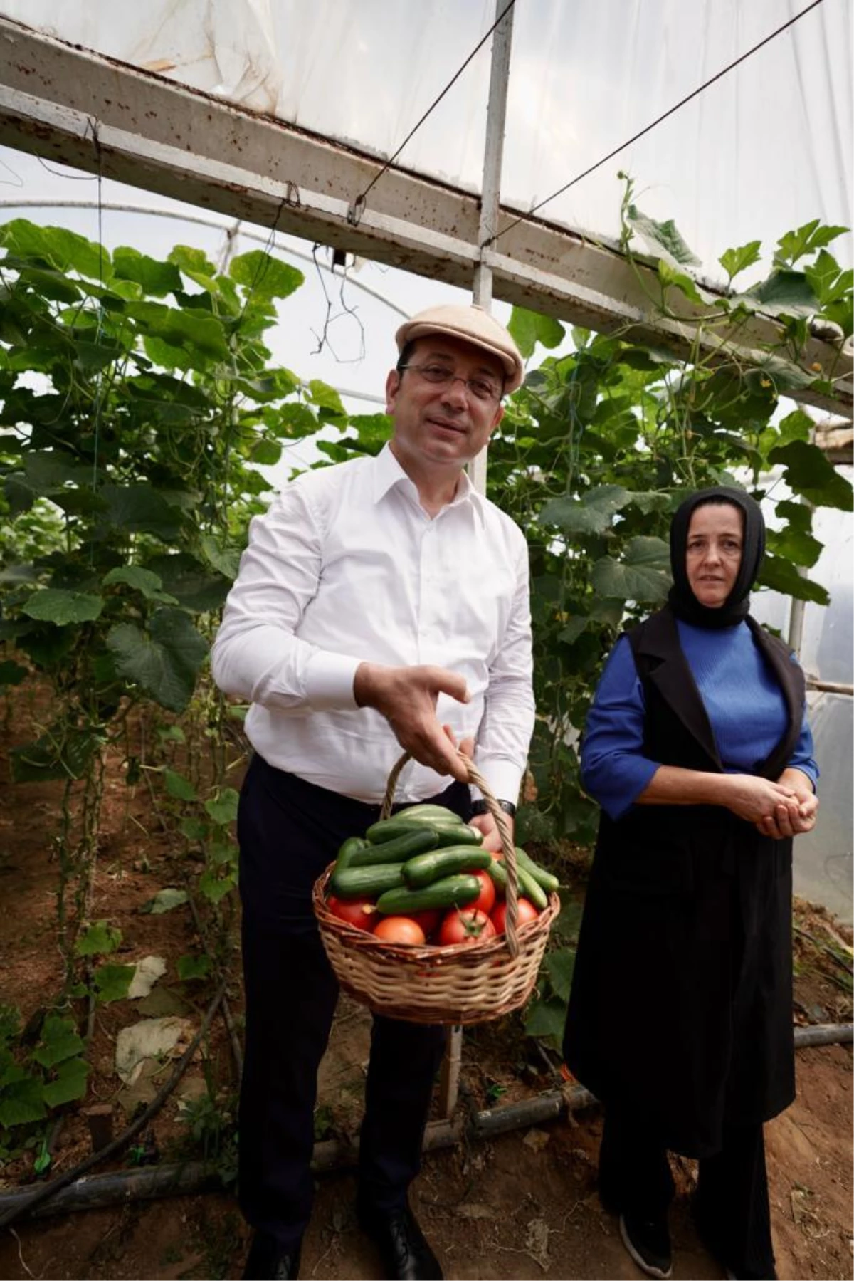 İBB\'nin ücretsiz dağıttığı fidelerin ilk mahsulü Sarıyer\'de toplandı