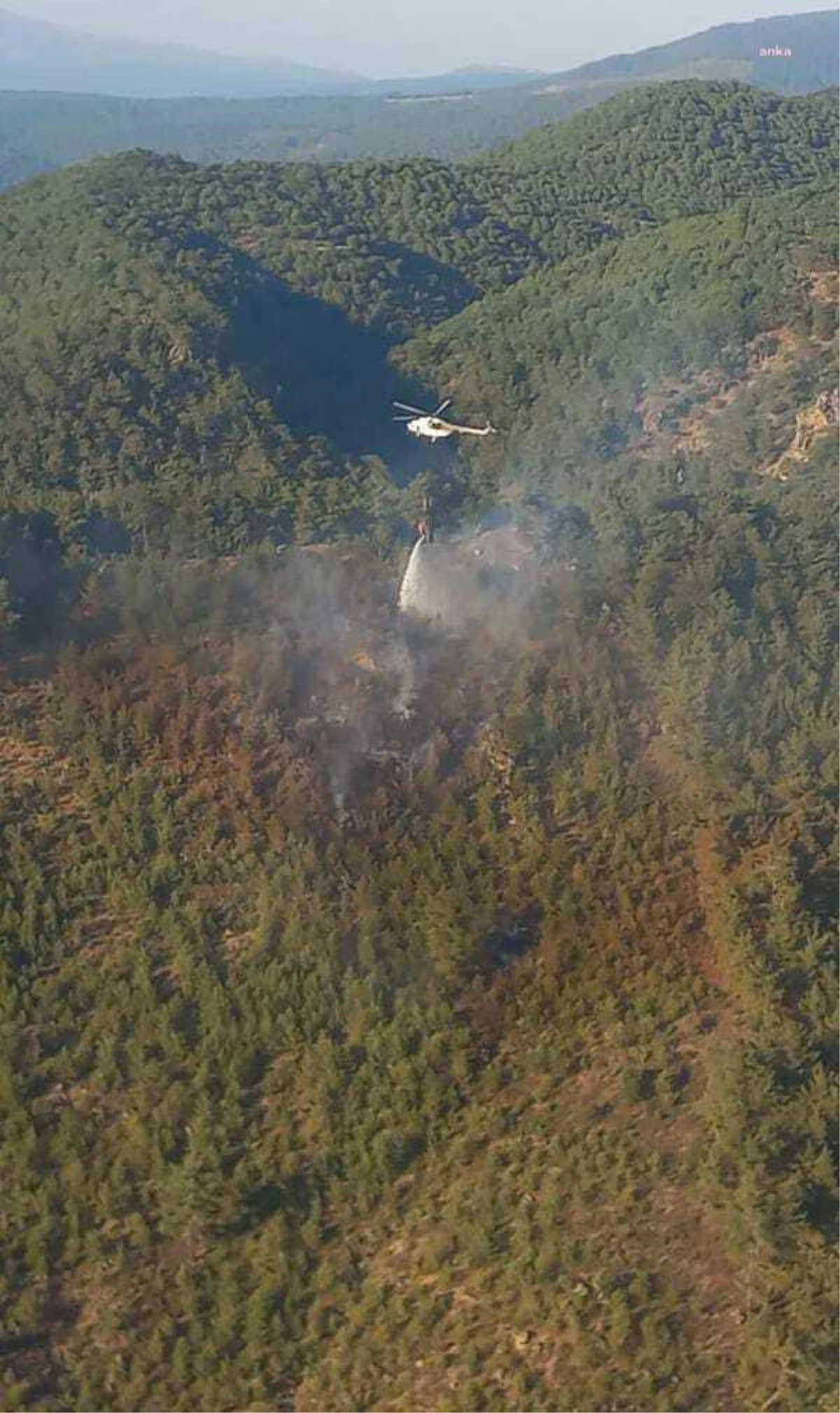 Son dakika haberi... İzmir Dikili ve Bergama\'daki Yangınlar Kontrol Altına Alındı
