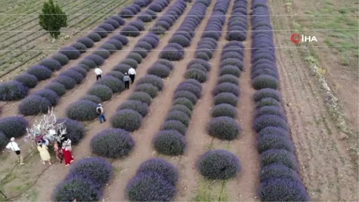 Lavantalar arasında resim yapıp keman çalarak kuraklığa dikkat çektiler