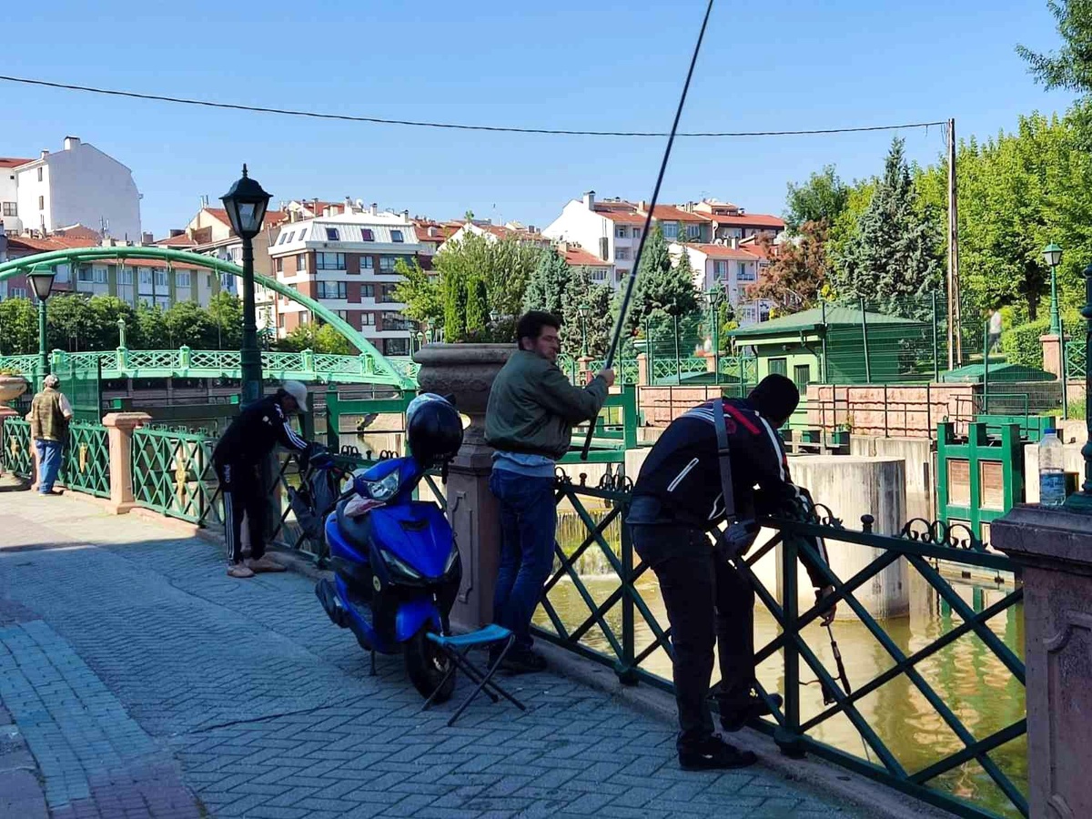Amatör balıkçılar pazar sabahını Porsuk kenarında geçirdi
