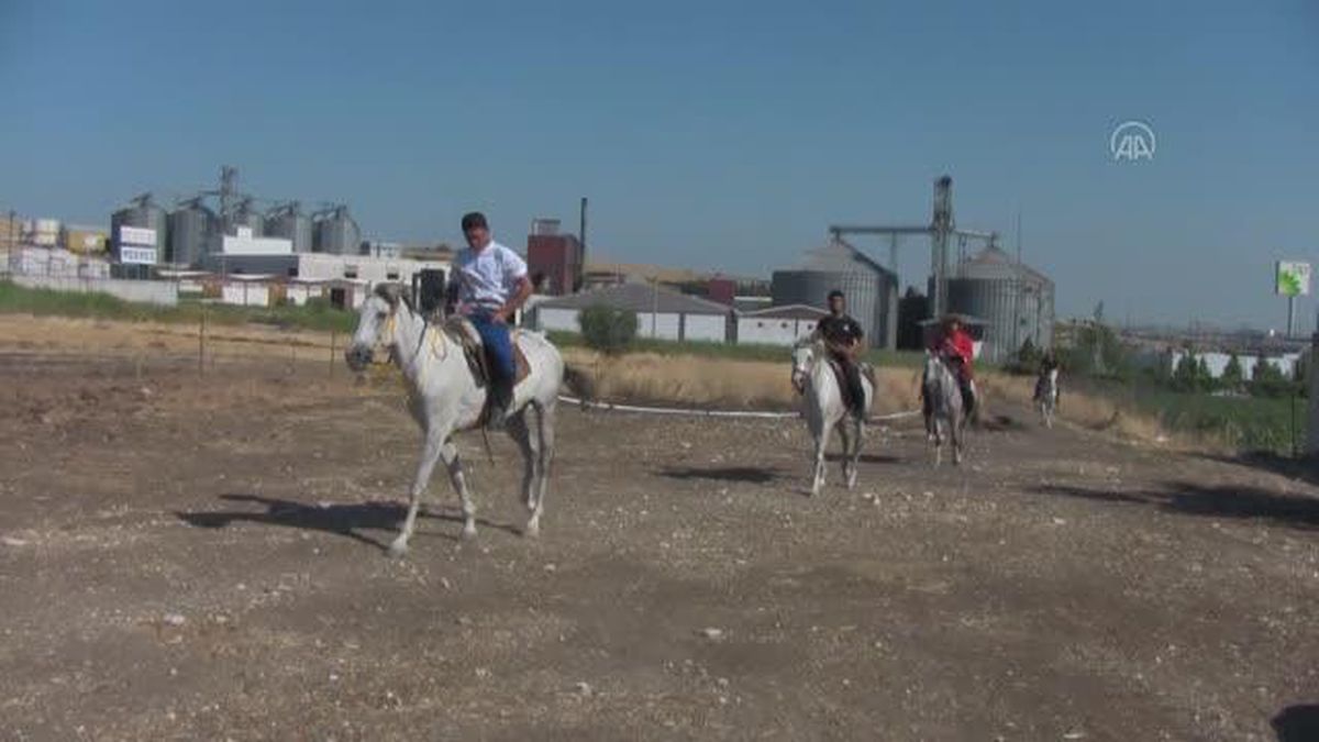 BALIKESİR - Dünya Atlı Okçuluk grup elemeleri