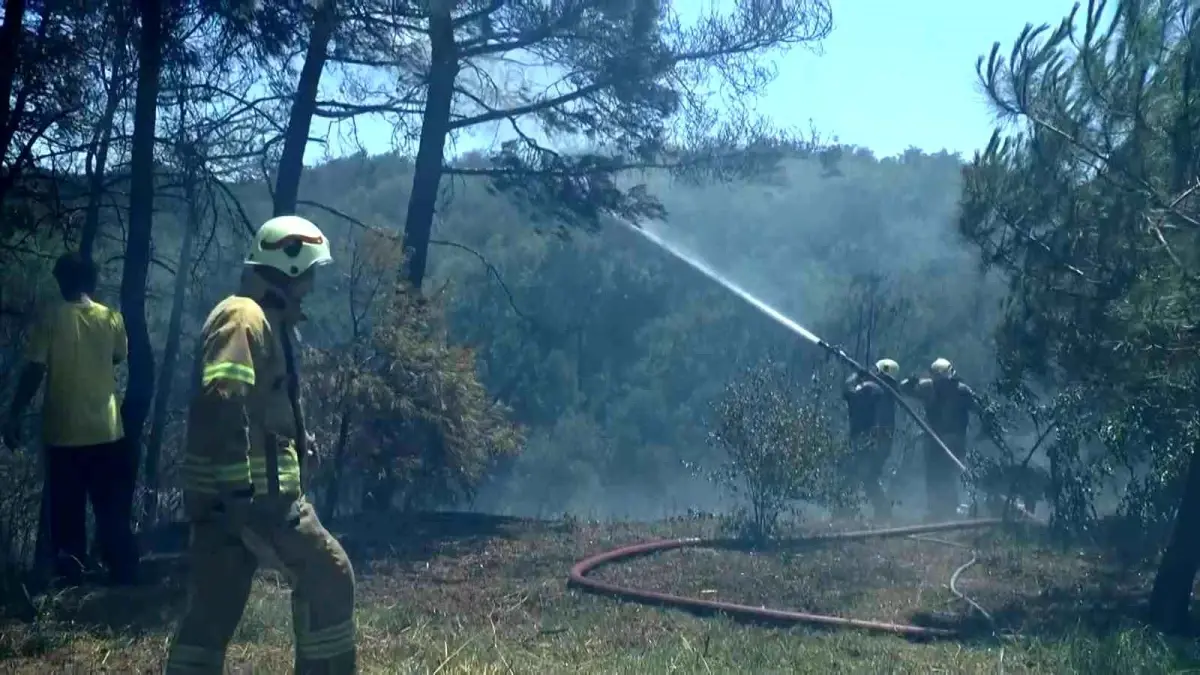 Son dakika: Beykoz Çavuşbaşı'nda ormanlık alanda yangın çıktı