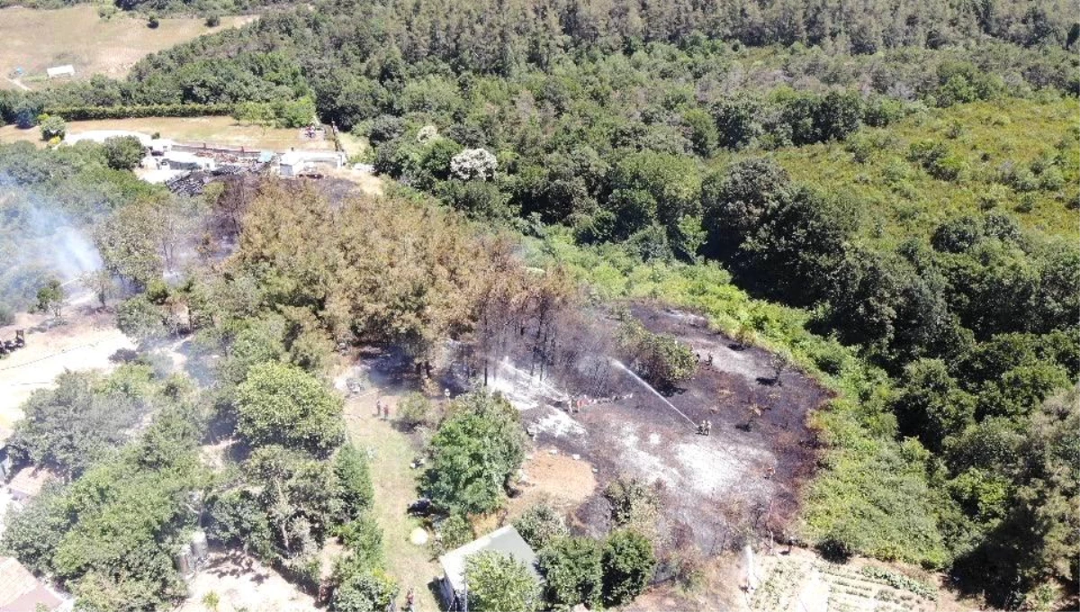 Beykoz\'da korkutan orman yangını: Alevler evlerin bahçesine sıçradı