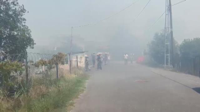 Beykoz'da orman yangını çıktı! Olay yerine çok sayıda itfaiye ekibi sevk edildi Beykoz'da orman yangını çıktı! Olay yerine çok sayıda itfaiye ekibi sevk edildi