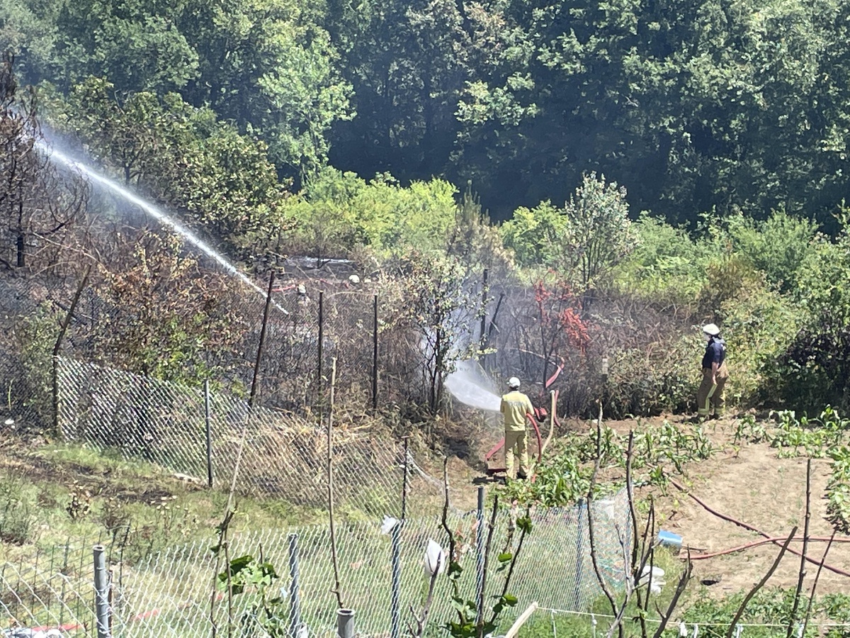 Son dakika haberi... Beykoz\'da ormanlık alanda çıkan yangın söndürüldü