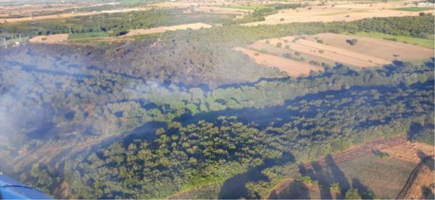 Son dakika haber! Çanakkale\'de orman yangını (2)