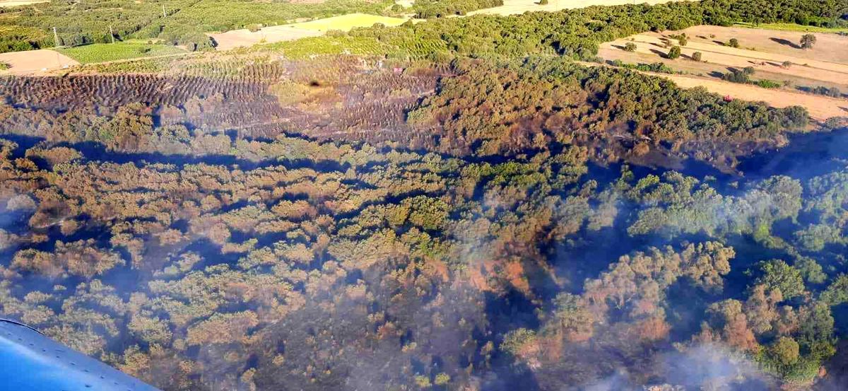Son dakika haberi | Çanakkale\'deki orman yangını kontrol altına alındı