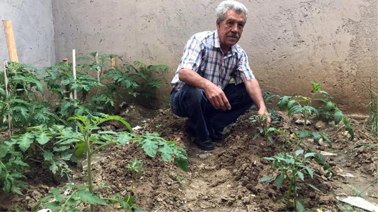 Cumhurbaşkanı Erdoğan\'ın sözünden etkilendi, minik bahçeyi yeşertti