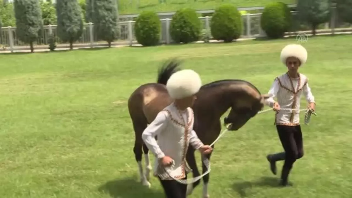 Cumhurbaşkanı Yardımcısı Oktay, Türkmenistan\'da çeşitli etkinliklere katıldı