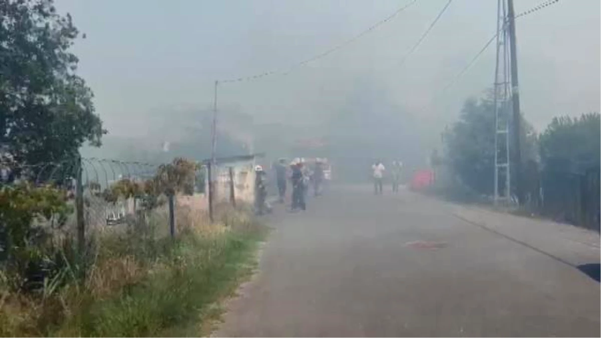 İstanbul Beykoz\'da orman yangını çıktı: Söndürme çalışmaları için havadan helikopter desteği gönderildi