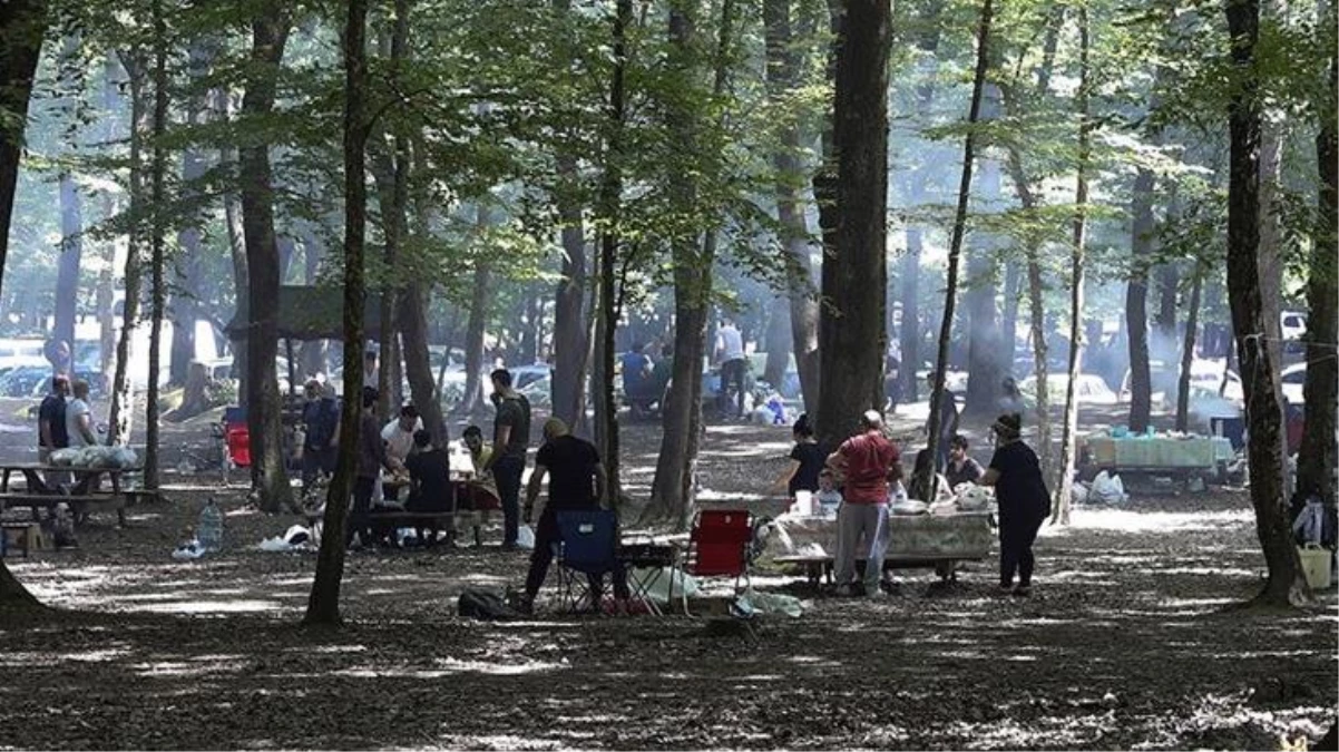 Artan orman yangınları sonrası valilik harekete geçti: İstanbul\'da ormanlık alanlara giriş yasaklandı