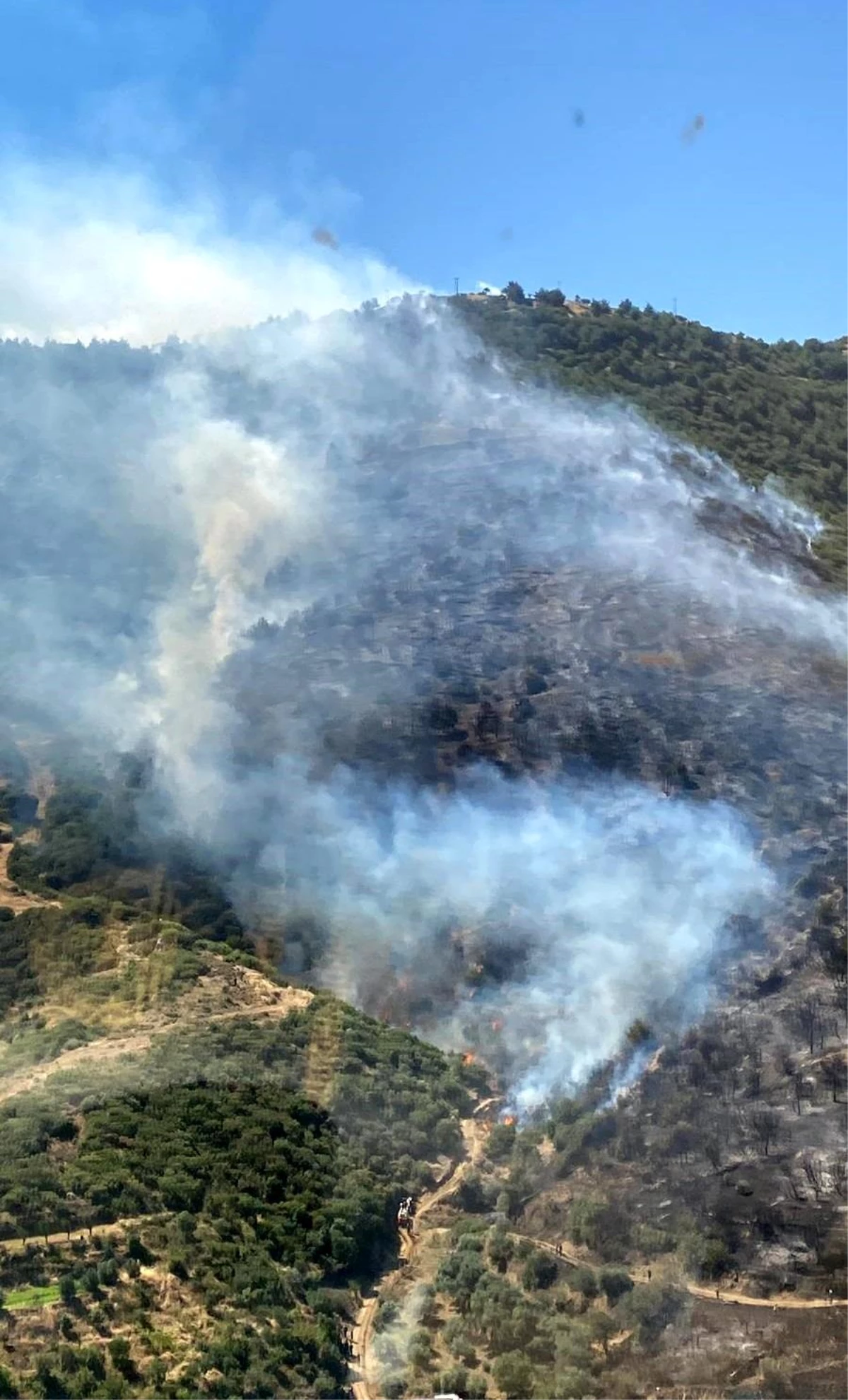 İzmir\'deki orman yanığını 149 dakikada kontrol altına alındı