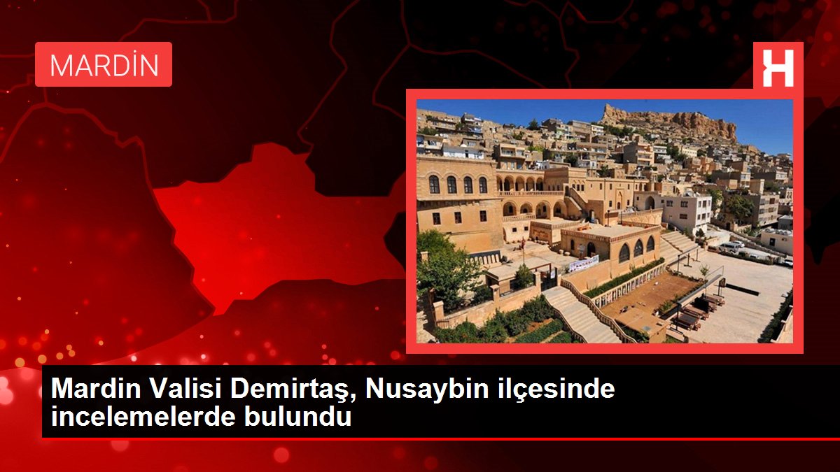 Mardin Valisi Demirtaş, Nusaybin ilçesinde incelemelerde bulundu