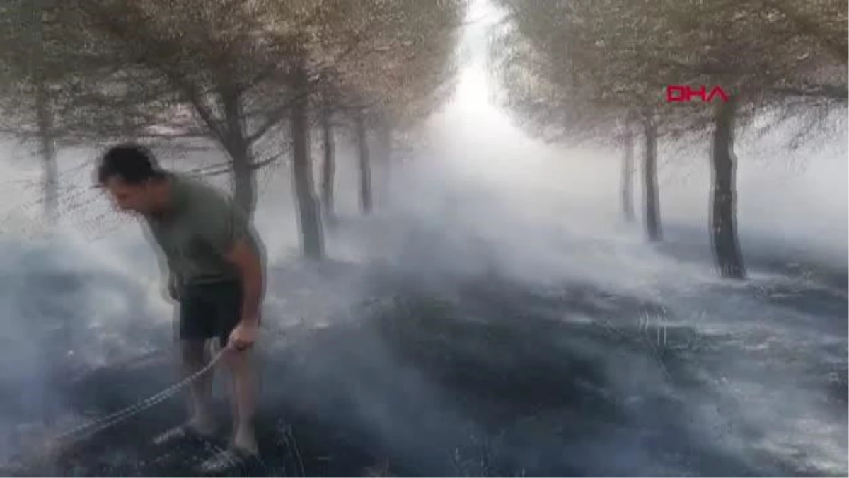 Silivri\'de orman yangını
