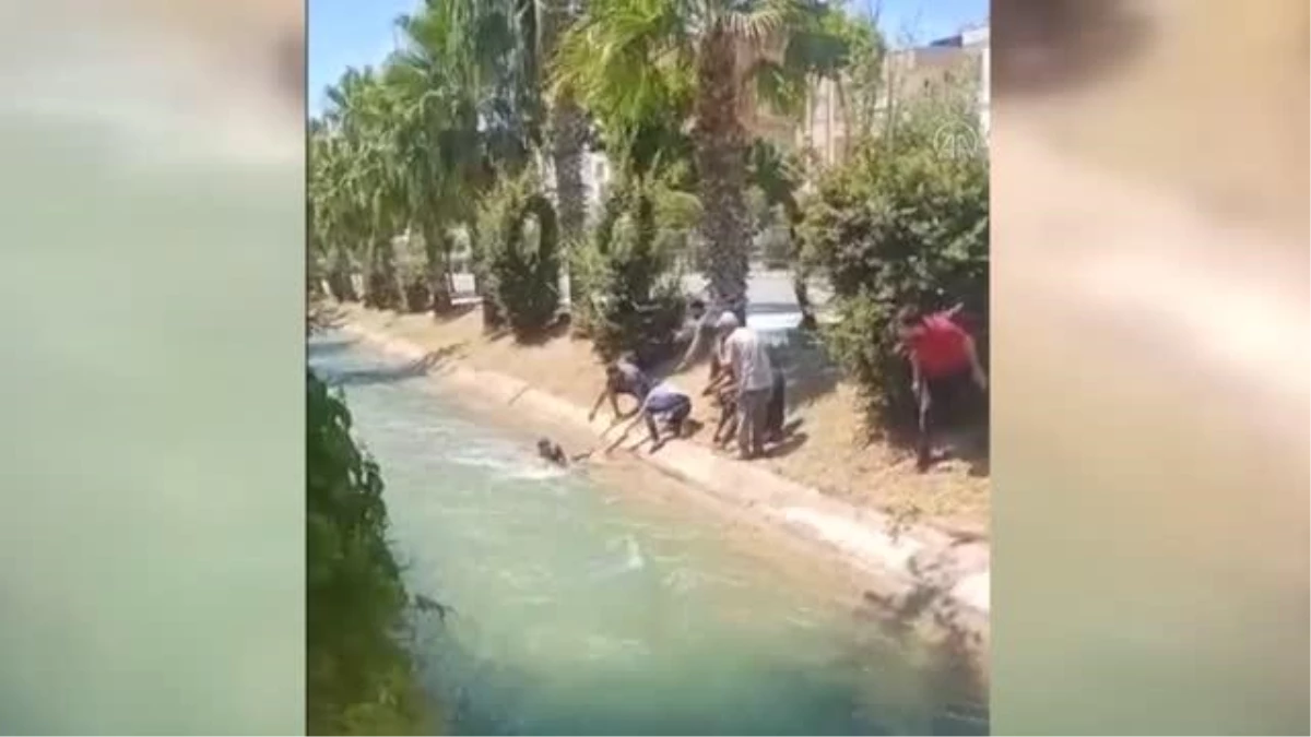 Sulama kanalına düşen 6 yaşındaki çocuğu çevredekiler kurtardı