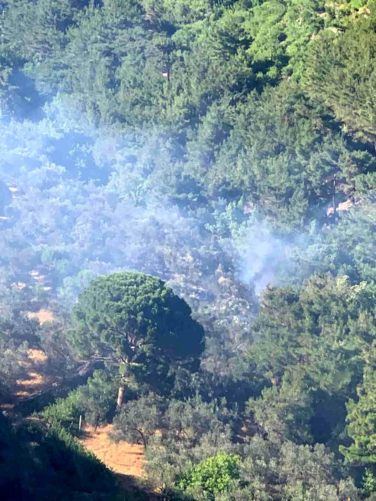 Son dakika... Zeytinlik yangınına karadan ve havadan müdahale edildi
