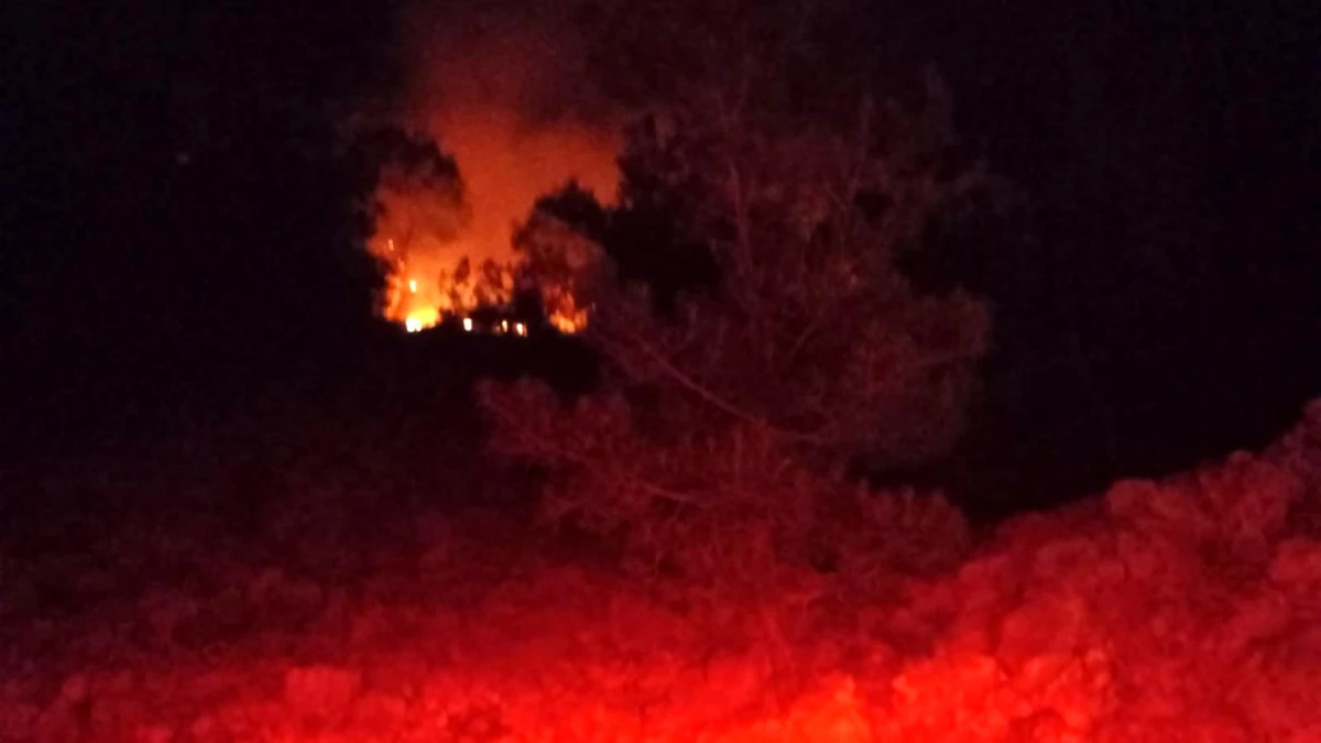 Son dakika haber: Adana\'da gece çıkan orman yangını kontrol altına alındı