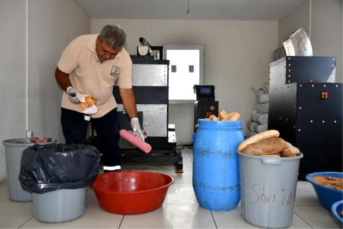 Atık gıdaların hayvanların beslenmesinde kullanılması için yem çalışması