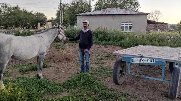 Yasaklı ırkın saldırısında atı ölümden dönmüştü, köpek sahibinin hediyesiyle sevince boğuldu