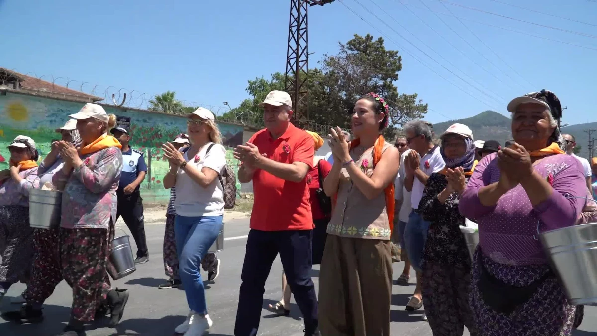 Son dakika! Efes Selçuk\'ta "Şeftali Şenliği" Düzenlendi