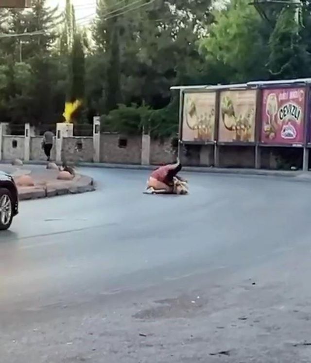 İki kadın sokak ortasında saç saça kavga etti! Üstlerinin açılmasına bile aldırış etmediler İki kadın sokak ortasında saç saça kavga etti! Üstlerinin açılmasına bile aldırış etmediler