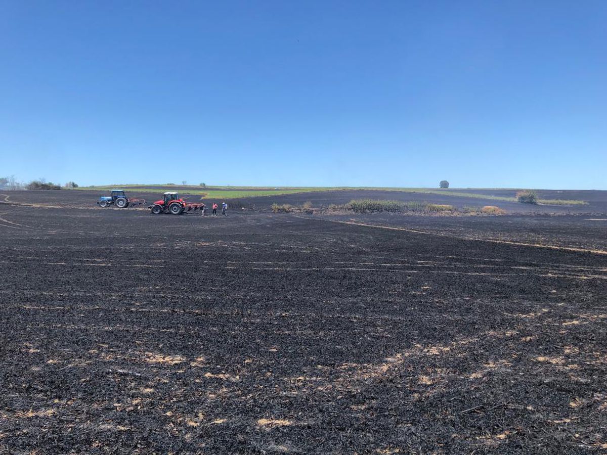 Tekirdağ'da 130 dönüm buğday ekili alan yandı