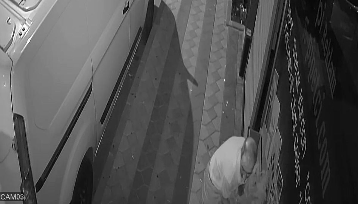 Zeytinburnu ve Sultangazi'de çiçek hırsızlığı kamerada