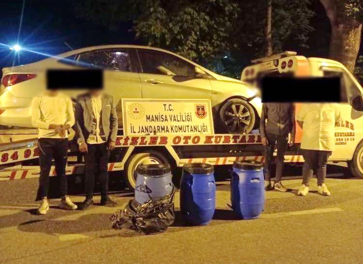 Son dakika haberi | Zeytinyağı hırsızları jandarmadan kaçamadı