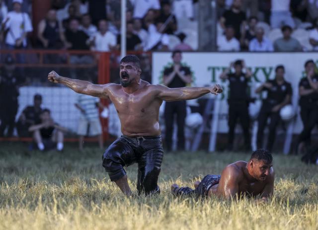 Altın kemeri alan başpehlivanın antrenman metodu hayvanseverleri ayağa kaldıracak