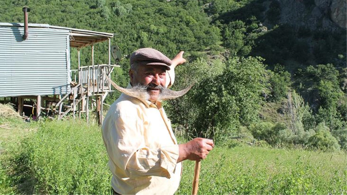 Bayburt\'ta \'Pala Dayı\'nın cesareti konuşuluyor! Ayıyı değneğiyle kovaladı