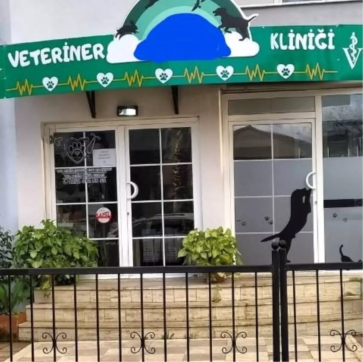 Bacağı kırılan köpekleri veterinerde telef oldu, suç duyurusunda bulundular