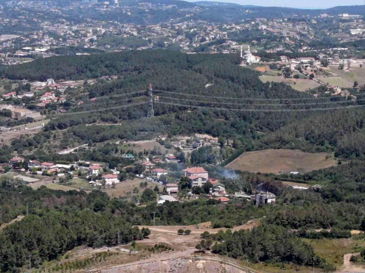 Beykoz\'da ormanlık alandaki yangınla ilgili 1 şüpheli yakalandı