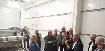 Cağ fabrikasında son rötuşlar tamamlanıyor