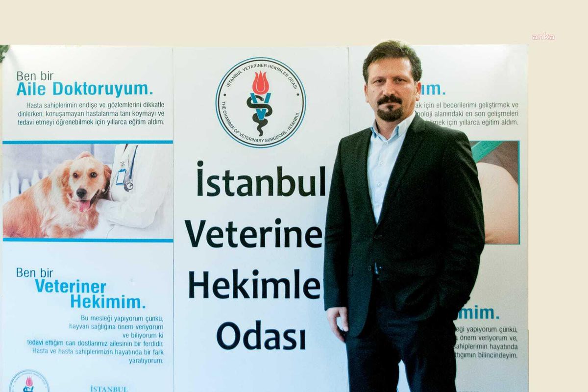 İstanbul Veteriner Hekimler Odası Başkanı: Sokağa Atılan Kurban Atıkları Zonooz Hastalık Tehlikesi Oluşturuyor