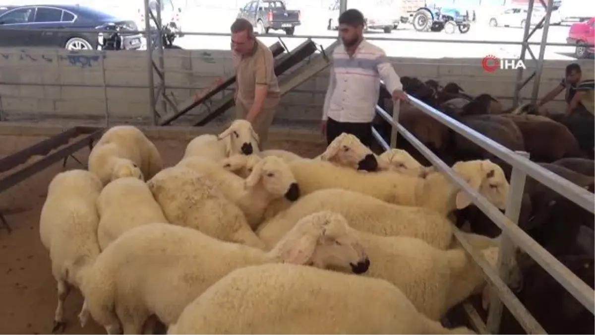 Kilis'te kurban pazarı denetlendi